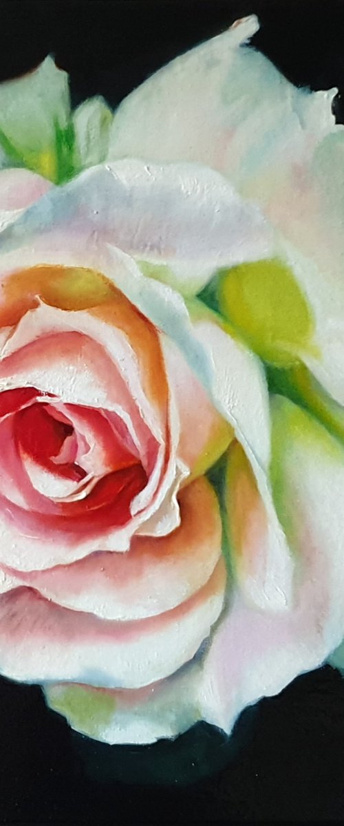"Young beauty"  rose flower macro  original painting  GIFT (2018) by Anna Bessonova (Kotelnik)