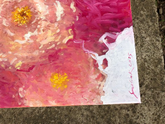 Colourful peonies