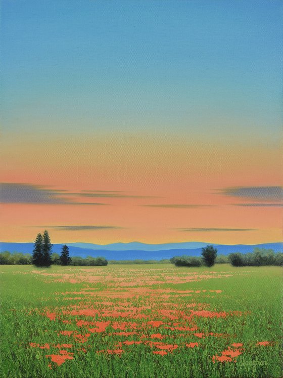 Evening Blush - Colorful Flower Field Landscape