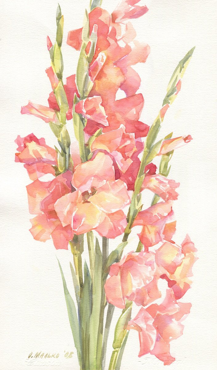 Impressionistic Botanical Watercolour By Olha Malko, 12 X 20", Coral Pink Gladioluses, Original Artwork