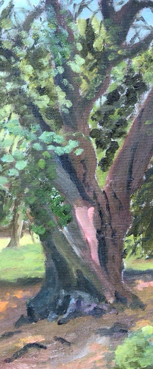 Ancient tree in the park by Julian Lovegrove Art