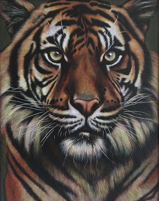 Tiger Tala