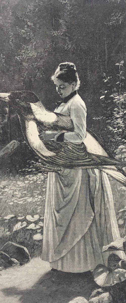 He was her constant companion by Tudor Evans