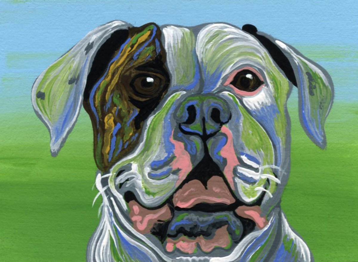 White American Bulldog by Carla Smale
