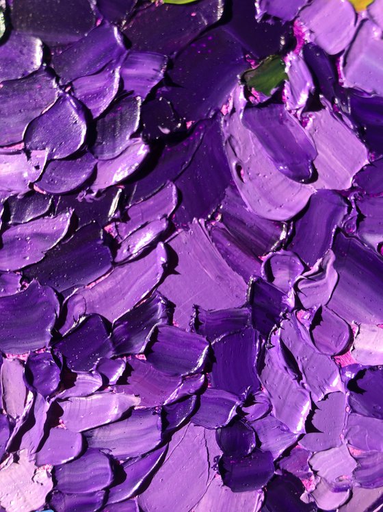 Jacaranda