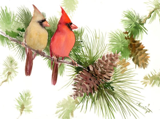 Cardinal Birds