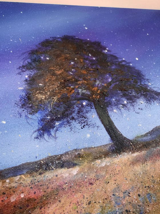 Autumn Stars At Sycamore Gap