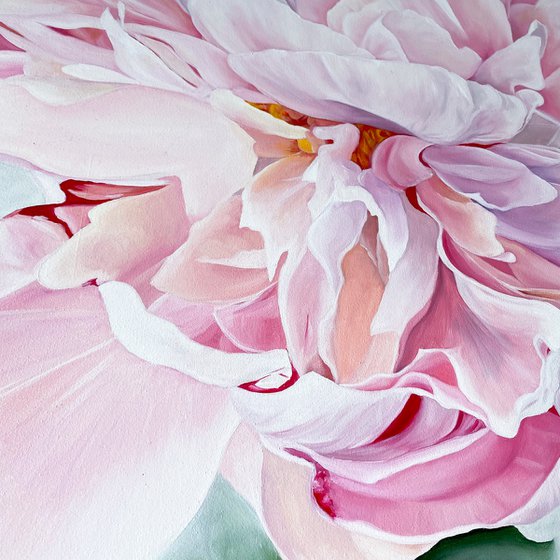 Pink Peony