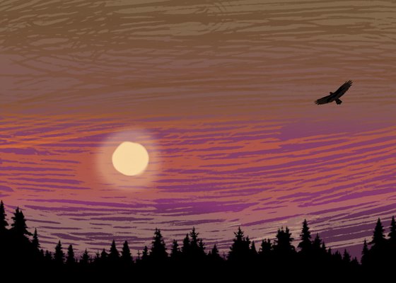 Soaring, bird peace