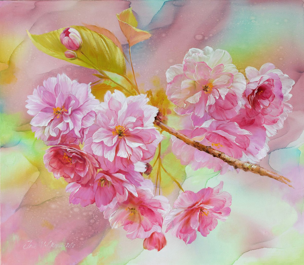 Sakura flowers by Ira Volkova