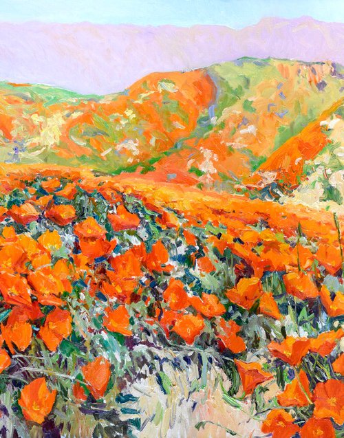 California Poppy In the Wild, Superbloom in the Mountains by Suren Nersisyan