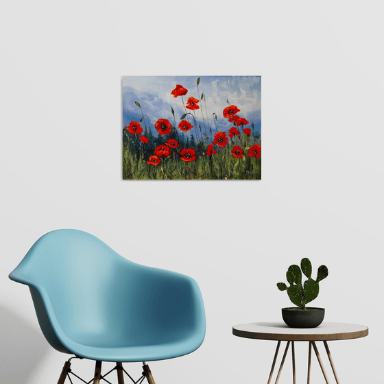 Red flowers , poppies