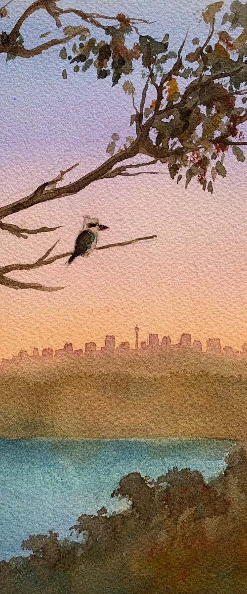 Kookaburra Watching Sunset by Shelly Du