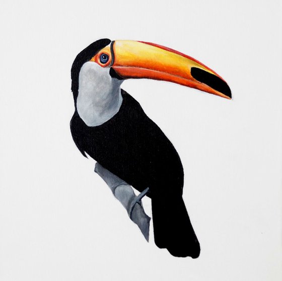 Toucan