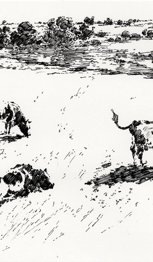 Grazing cows by Yulia Evsyukova