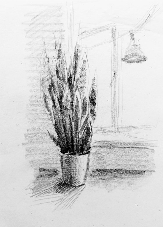 Sketch In the morning. Original pencil drawing.