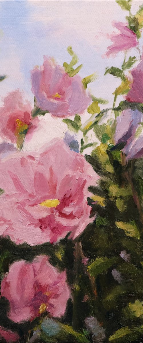 Purple Rose of Sharon Blossoms by Daniel Brian Fishback