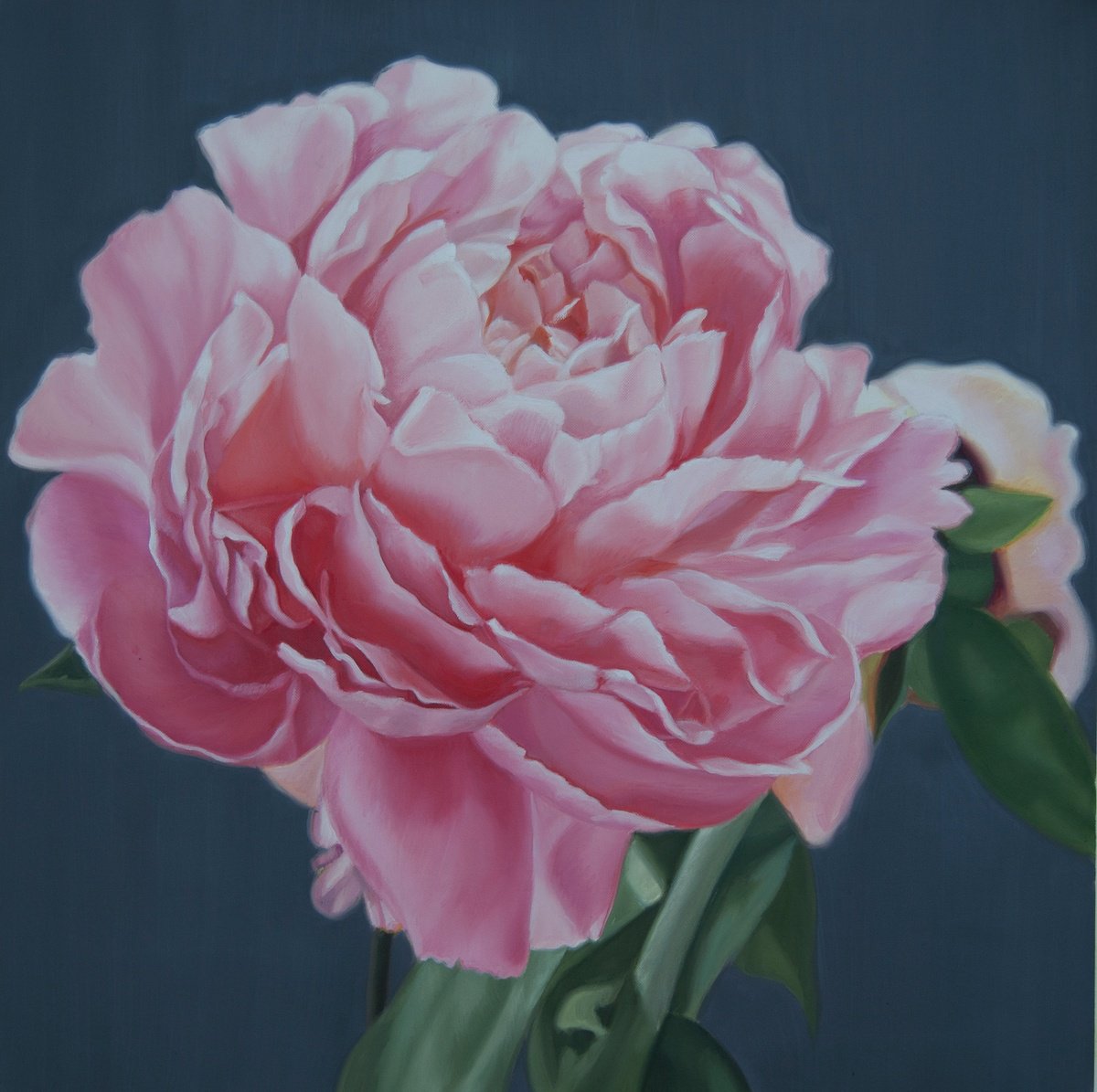 Peony II by Simona Tsvetkova