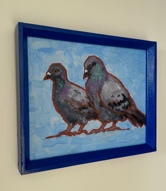 Pigeons couple