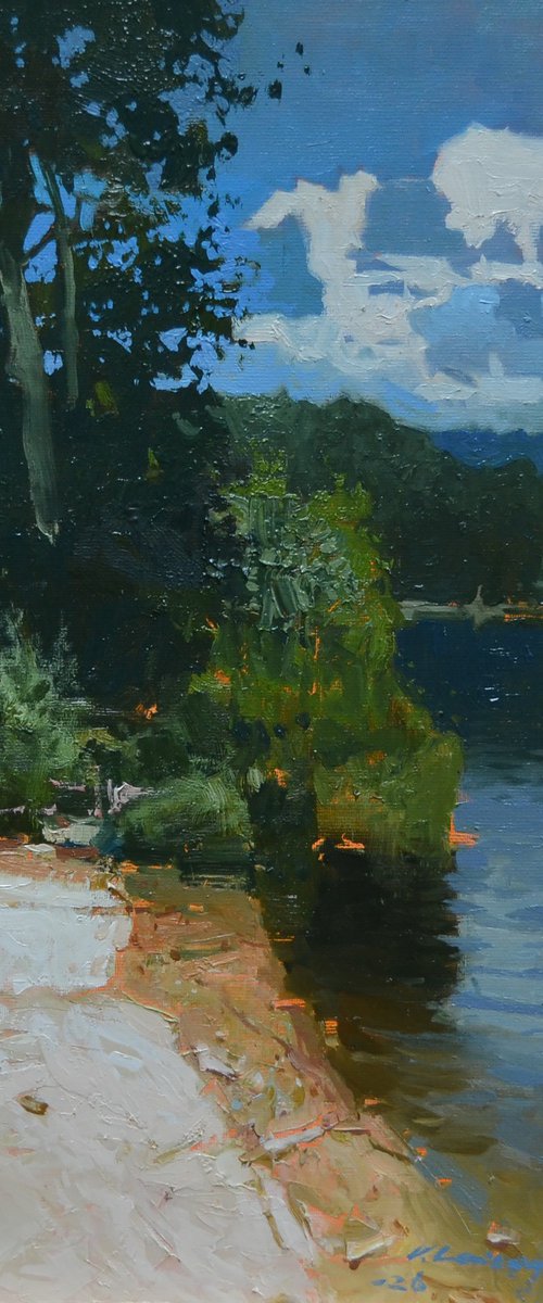 Coast of light by Vytautas Laisonas