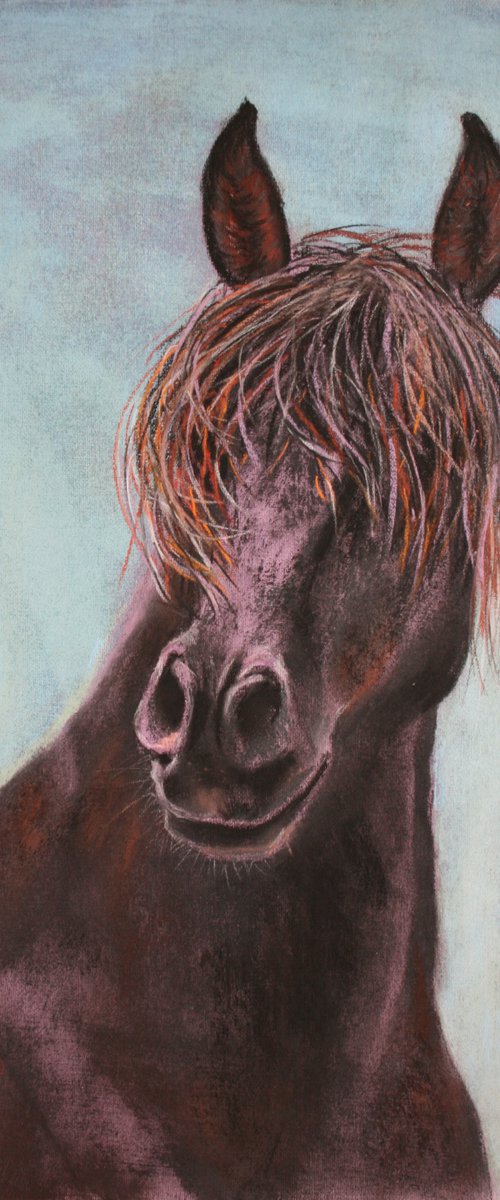 HORSE... PORTRAIT V / Original Painting by Salana Art / Svetlana Samovarova