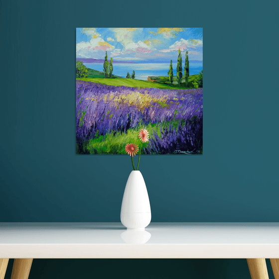 Lavender field