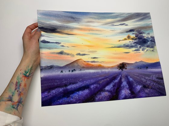 lavender field #2