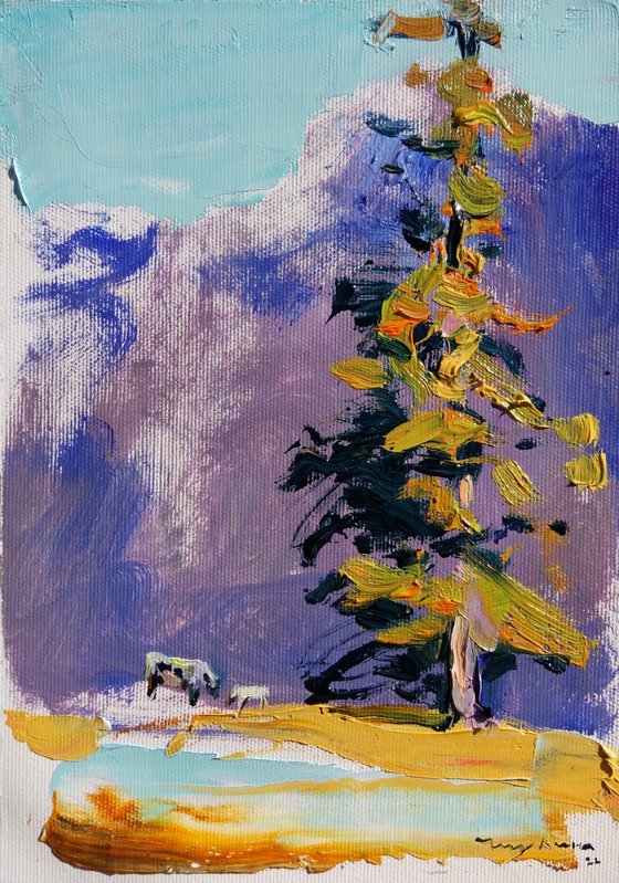 Etude cows among the mountains