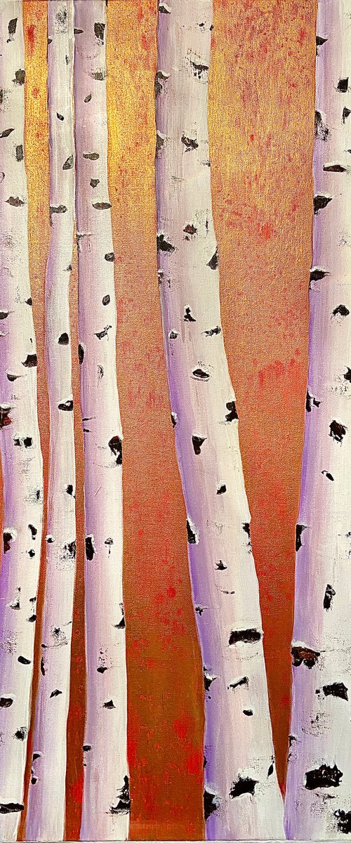 Aspen trees by Heather Matthews
