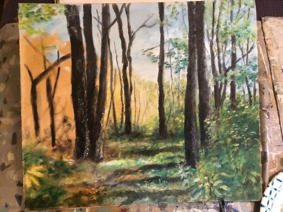 SWAMP DEER TRAIL
