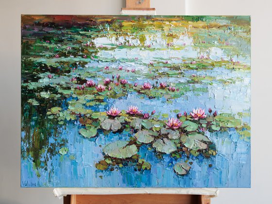 Pink Water Lilies