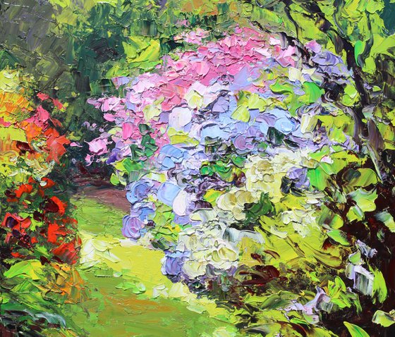 Garden Hydrangeas