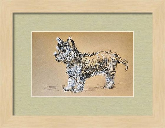 Yorkshire Terrier sketch