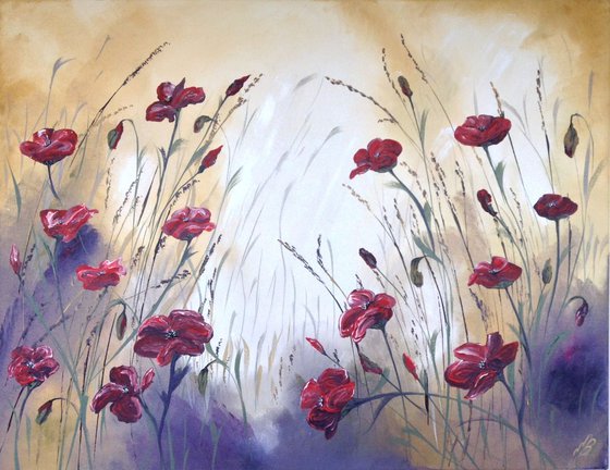 Red Poppies