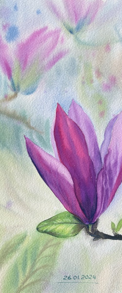 Blooming Pink Magnolia by Oleksandra Padushyna