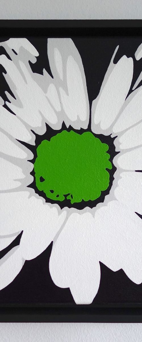 Daisy Splash by Susan Porter