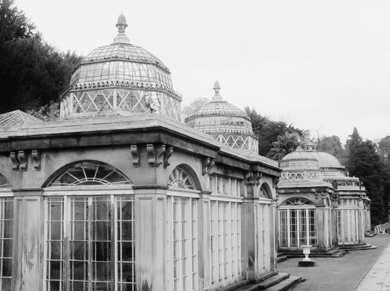 Abandoned Conservatories