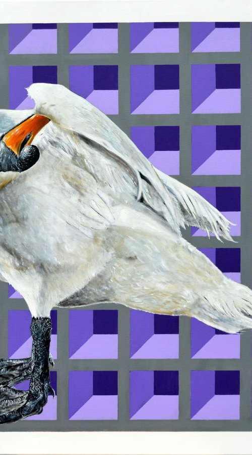 swan3 by antonio maggio carluccio