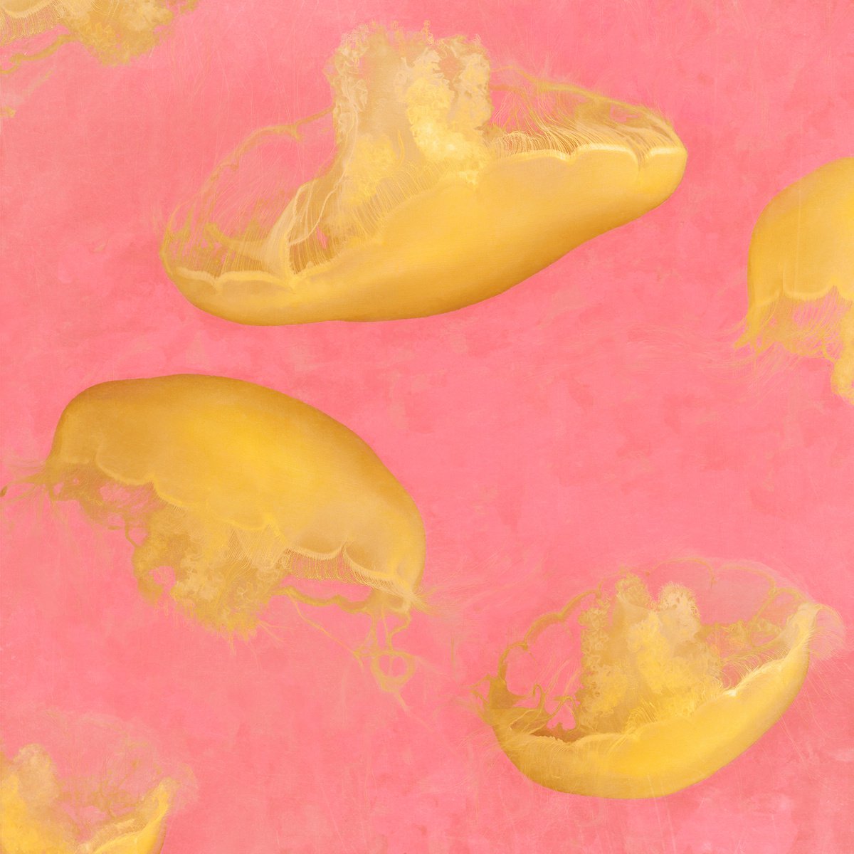 Impressionistic Landscape Photograph By Nadia Attura, 20 X 20", Monterey Corazon, Original Artwork