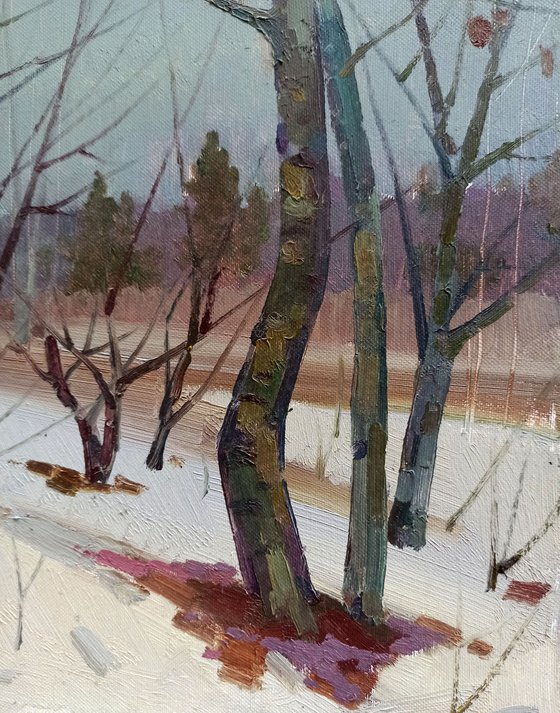 Winter landscape