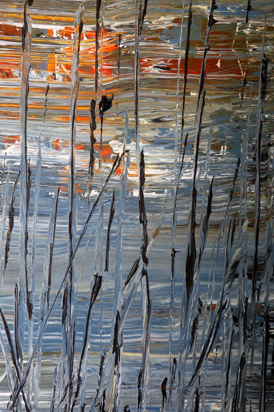 Reedbed at Sunset