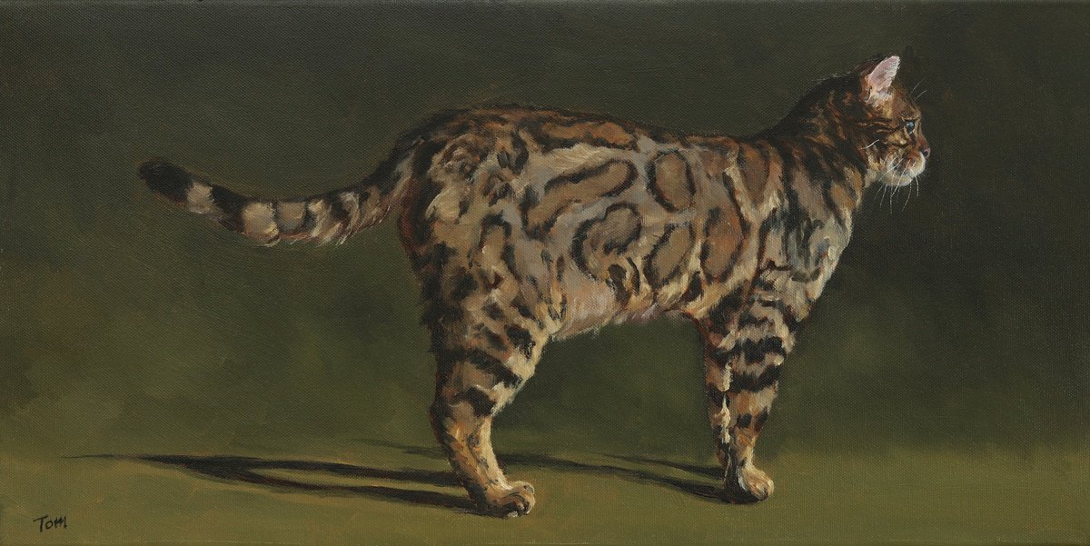Animal Oil Painting By Tom Clay, 24 X 12", Bengal Cat, Original Artwork