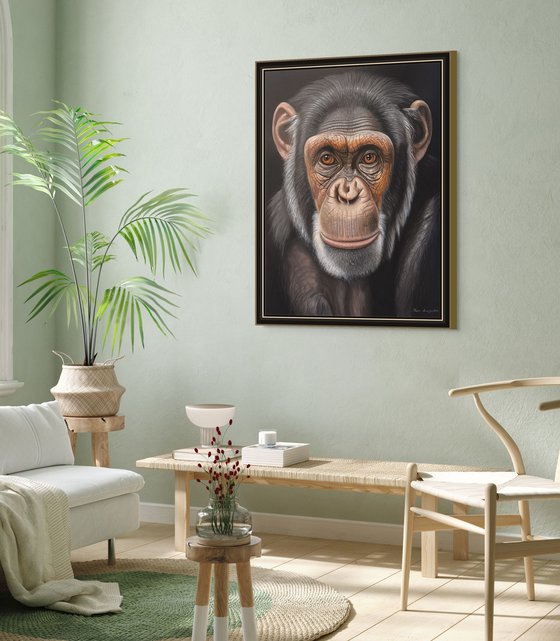 The Gaze of Chimpanzee