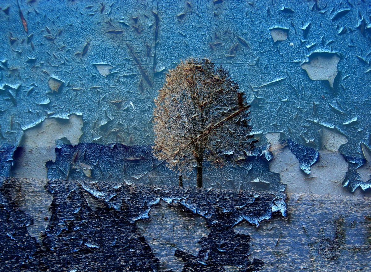 Illustrative Landscape Photograph By Srdjan Jevtic, 59 X 43", Blue Winter, Extra Large 150 Cm X 110 Cm, Original Artwork