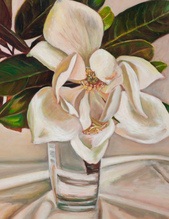 Magnolia Grandiflora