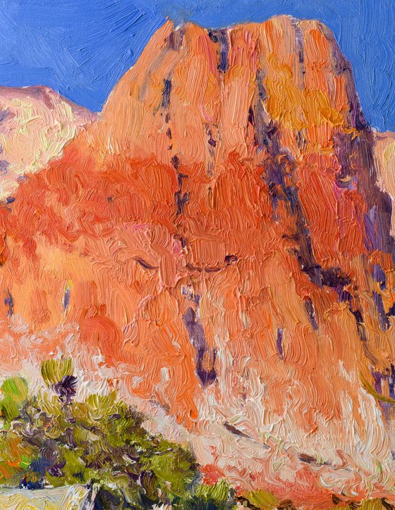Desert. Landscape with Big Red Rock