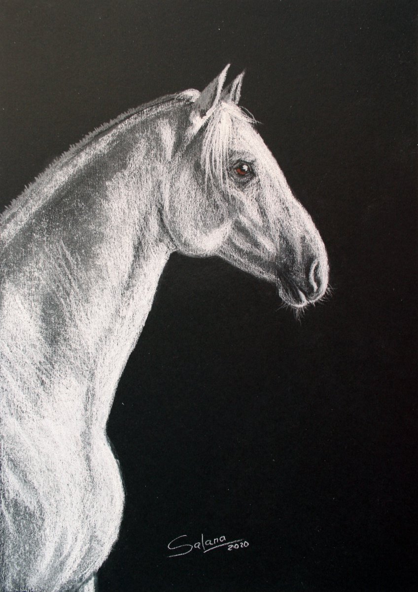 Animal Pencil Drawing By Salana Art / Svetlana Samovarova, 8 X 12", Horse V, Original Artwork