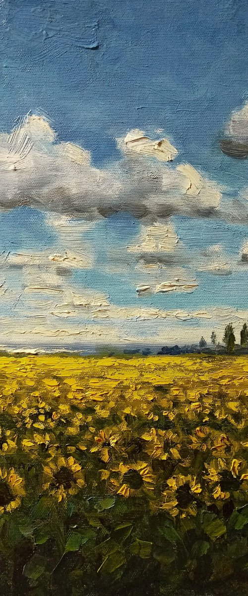 Sunflower field by Oleh Rak