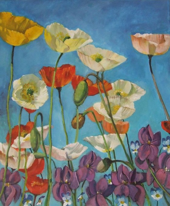 Poppies and Violets