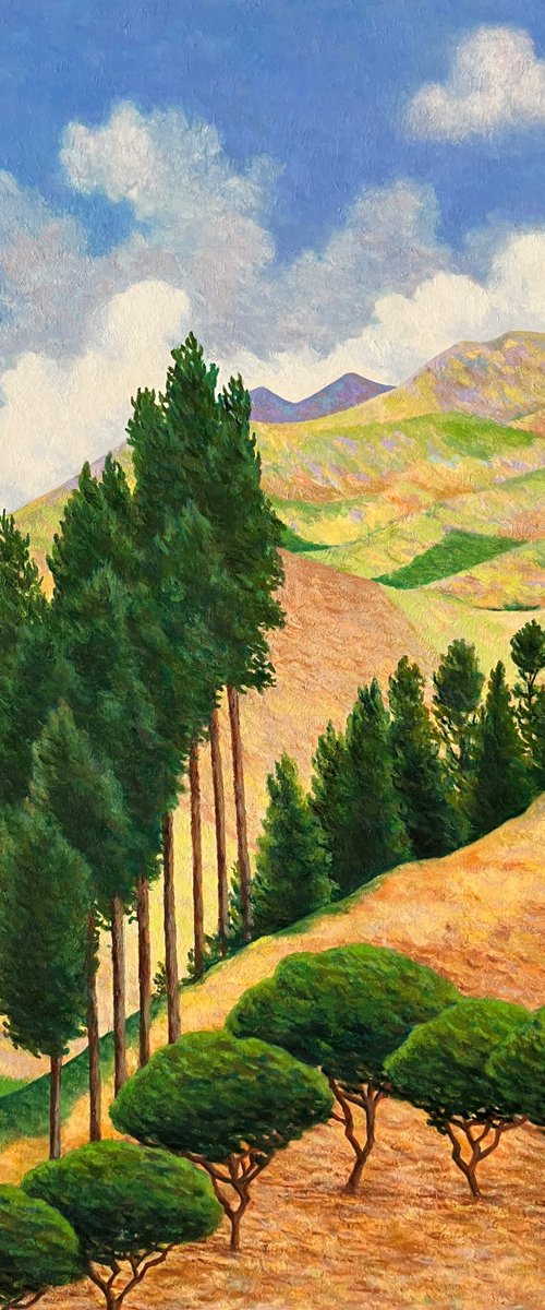 Paisaje Andino Provincia Del Cañar by Marcelo Villacrés